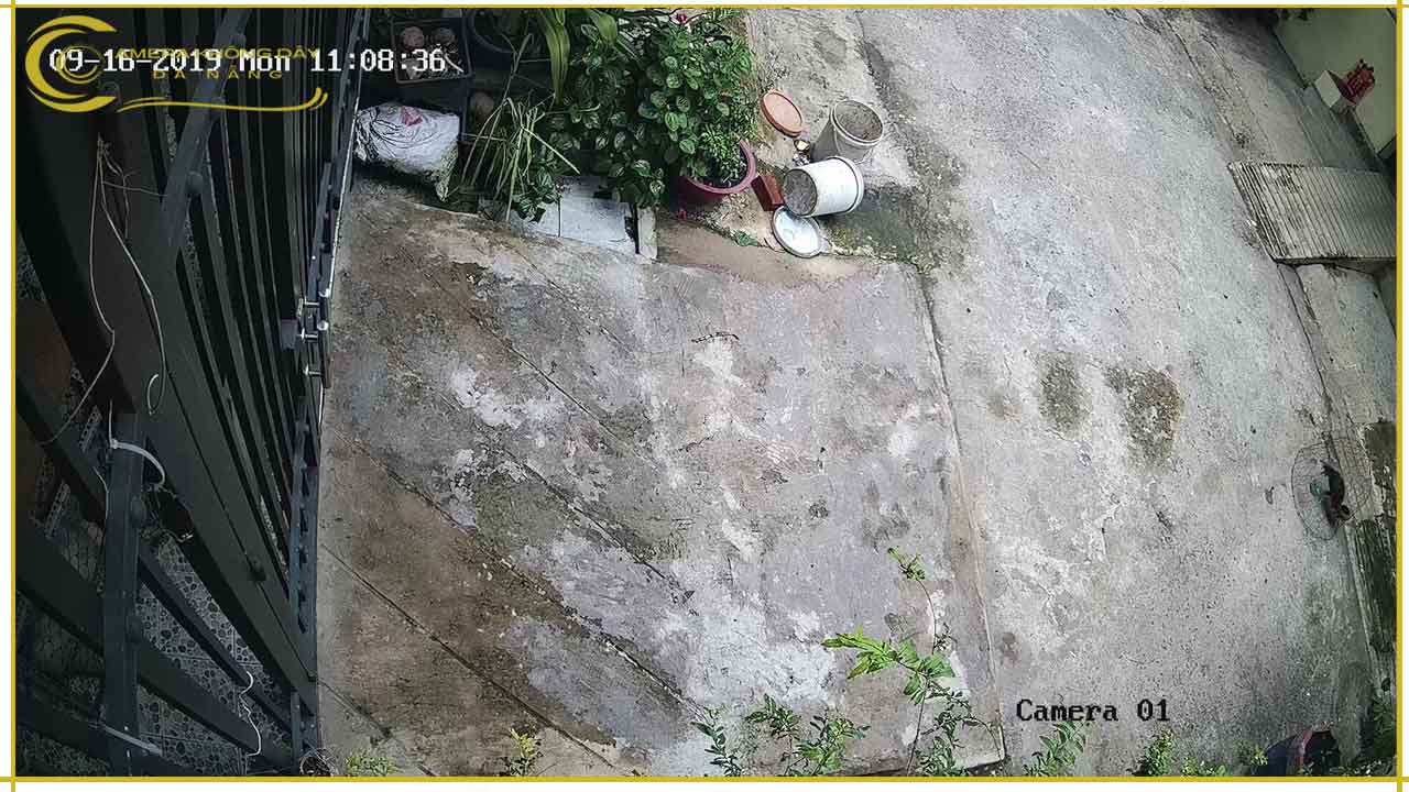 camera-wifi-an-ninh-c3x-2mp-co-mau-ban-dem-2