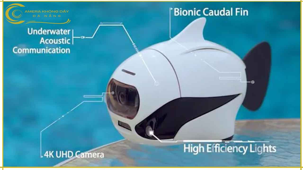 camera-quan-sat-nhin-duoi-nuoc