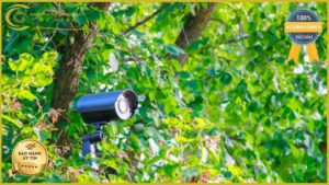 lap-dat-camera-giam-sat-tai-duong-bui-ky