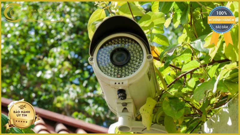lap-dat-camera-giam-sat-tai-duong-le-kim-lang-2