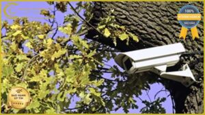 lap-dat-camera-giam-sat-tai-duong-le-trong-tan