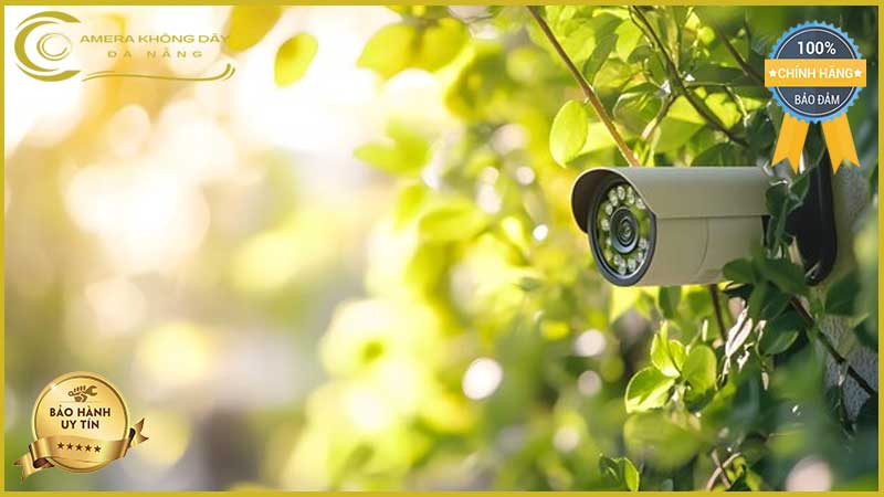 lap-dat-camera-giam-sat-tai-duong-ly-nhan-tong-2