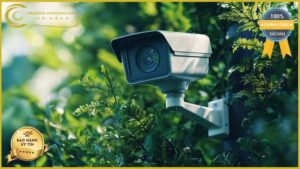 lap-dat-camera-giam-sat-tai-duong-nguyen-chich