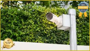 lap-dat-camera-giam-sat-tai-duong-truong-vinh-ky