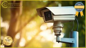 lap-dat-camera-giam-sat-tai-duong-dao-duy-tung
