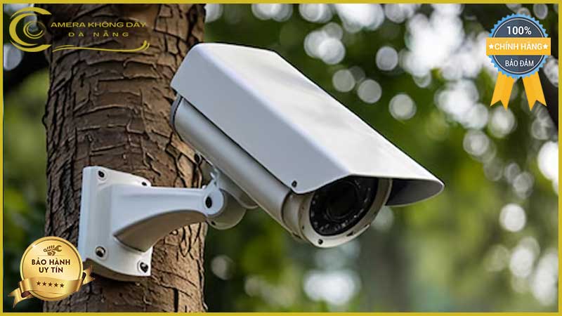 lap-dat-camera-giam-sat-tai-duong-le-trung-dinh-2