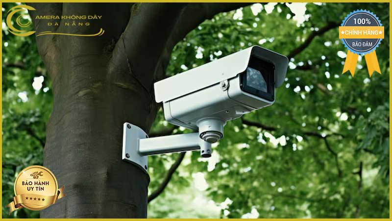 lap-dat-camera-giam-sat-tai-duong-luong-thuc-ky-2