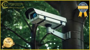 lap-dat-camera-giam-sat-tai-duong-nguyen-quy-canh