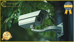 lap-dat-camera-giam-sat-tai-duong-nguyen-thien-thuat