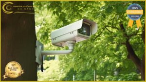 lap-dat-camera-giam-sat-tai-duong-su-van-hanh