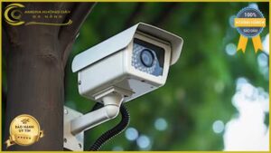lap-dat-camera-giam-sat-tai-duong-thuan-yen