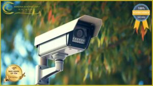 lap-dat-camera-giam-sat-tai-duong-tra-lo