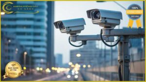 lap-dat-camera-giam-sat-tai-duong-tran-van-thanh