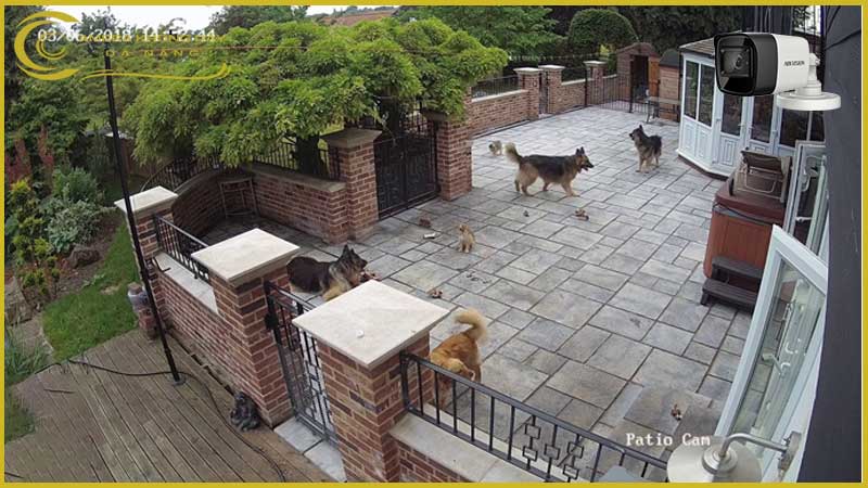 camera-hdtvi-hikvision-ds-2ce16h8t-itf-ngoai-troi-co-dinh-5mp-2