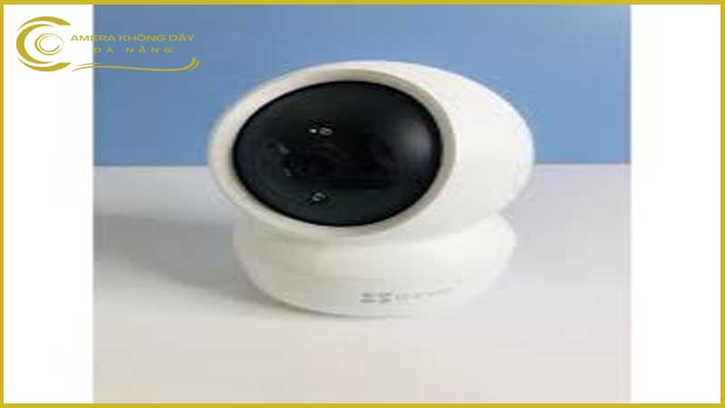 camera-ezviz-c6n-va-viec-giam-sat-hoat-dong-cua-thu-cung-trong-nha-4