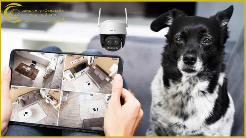 loi-ich-cua-viec-su-dung-camera-imou-ipc-s7dp-5m0wez-trong-gia-dinh-co-thu-cung-1