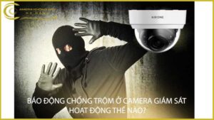 bao-dong-chong-trom-o-camera-giam-sat-hoat-dong-the-nao