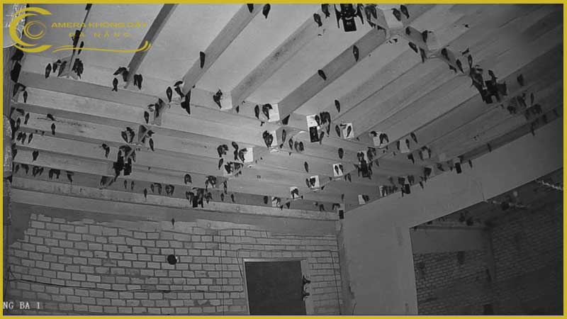 lap-dat-camera-cho-nha-yen-can-luu-y-gi-1